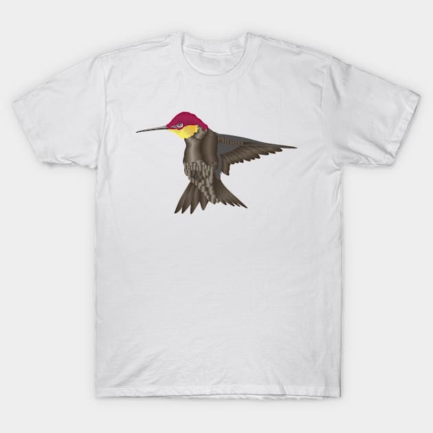 Hummingbird - Black T-Shirt by Pet & Nature Lovers